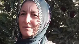 İş Yerinde Ağaç Faciası: 56 Yaşındaki Kadın Hayatını Kaybetti