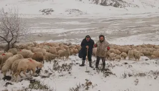 Tipi Nedeniyle Heyelan Oluştu: 2 Çoban ve 650 Küçükbaş Hayvan Yaylada Mahsur Kaldı