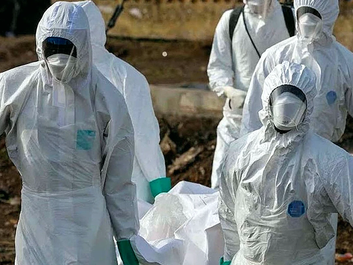 DSÖ'den Ebola Virüsü Uyarısı: Salgın Yayılma Riski Taşıyor