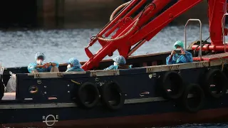 Hantavirüs Tespit Edilen Yolcu Gemisinden Tahliyeler Başladı