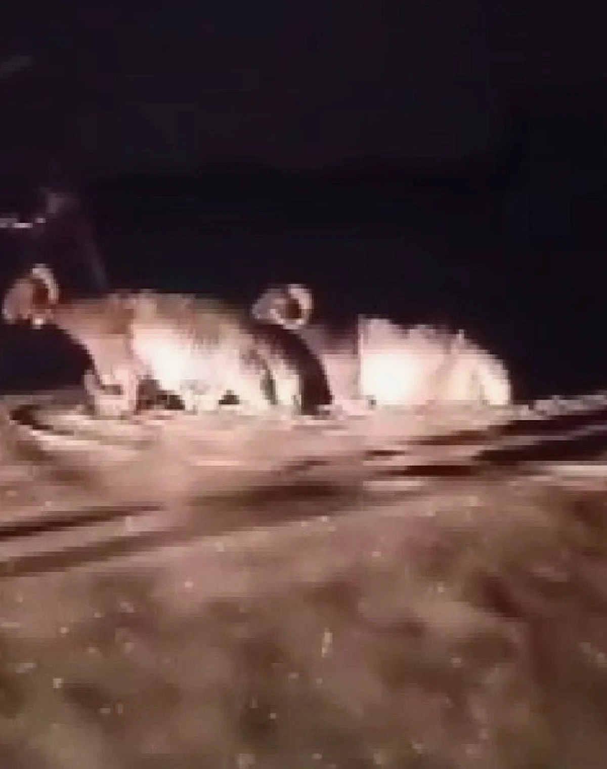 Hatay'ın Dörtyol İlçesinde Sağanak Afet Yarattı: Hayvan Pazarı Sular Altında Kaldı
