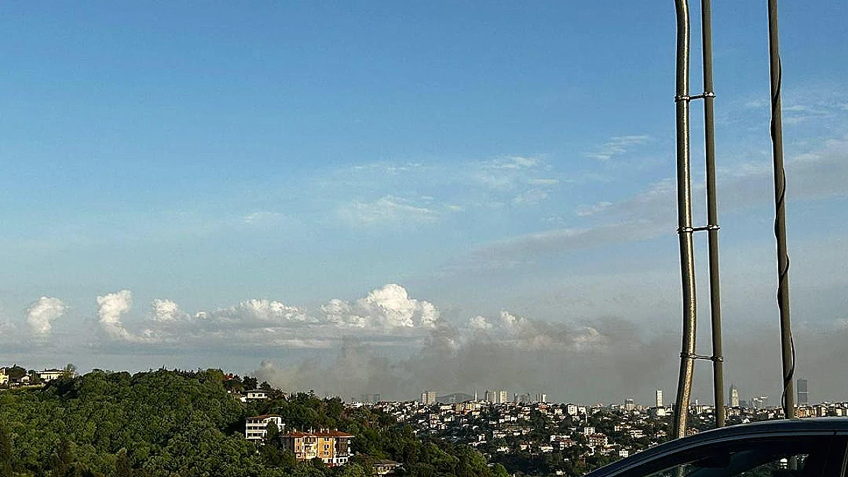 İstanbul Beykoz'da Yangın: Ekipler Müdahale Ediyor