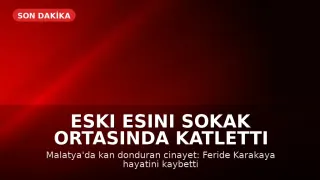 Malatya'da Eski Eş Cinayeti: F.K. Sokak Ortasında Katledildi