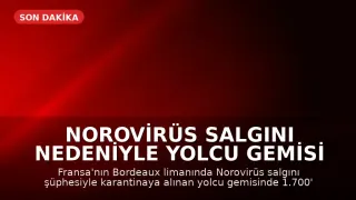 Norovirüs Salgını Nedeniyle Yolcu Gemisi Karantinaya Alındı